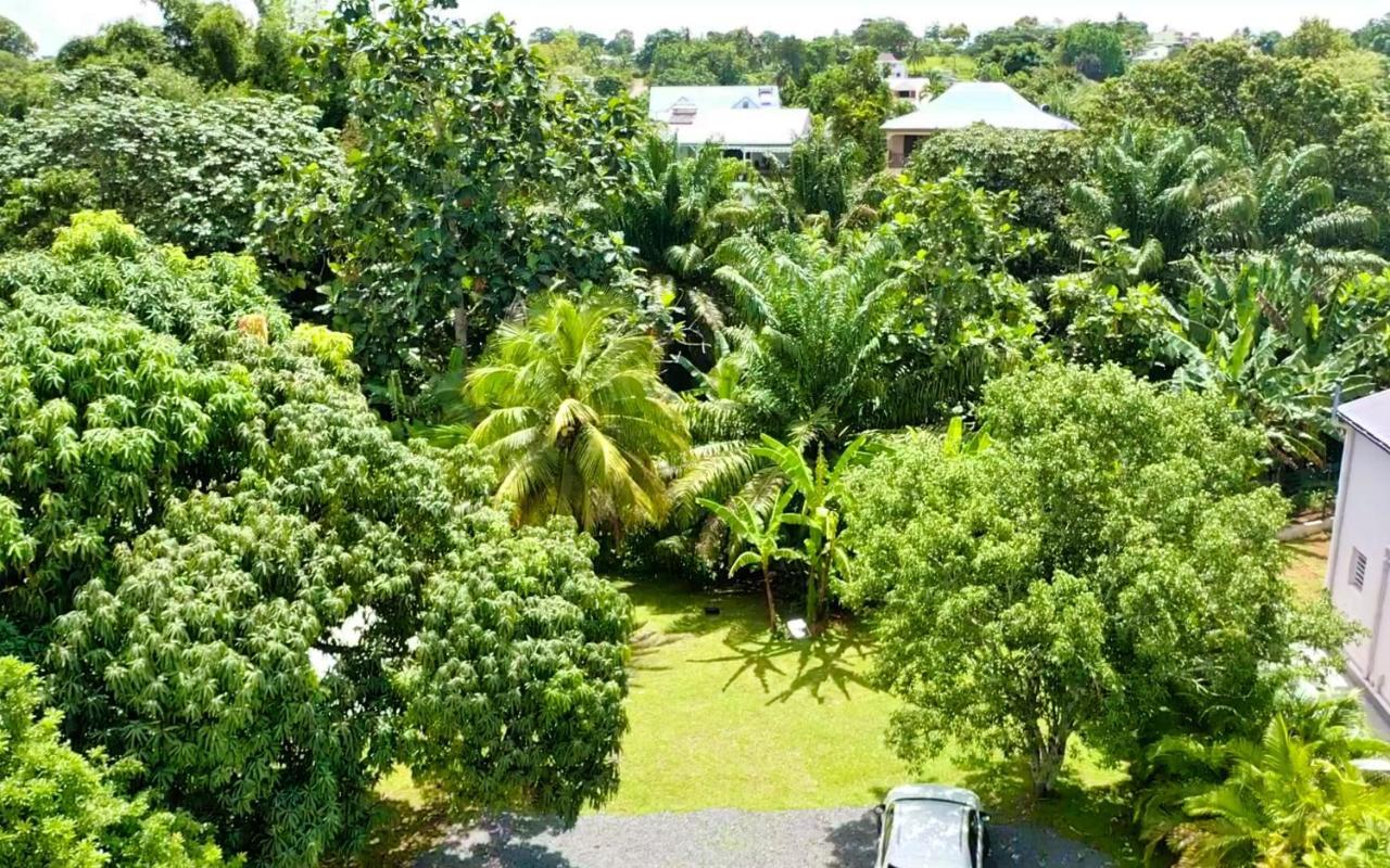 Green Lord Domaine - Lodges Piscine & Spa - Bar & Lounge - Restaurant Gastronomique Lamentin Luaran gambar